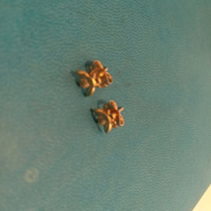 aretes abeja