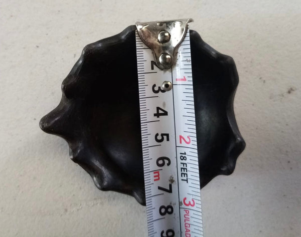 Hoja barro negro