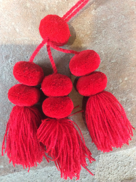 Pompones Finos Chiapas (ramo 3)