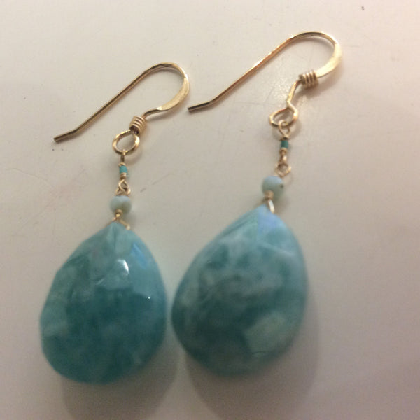 Gold fill earrings ddlc